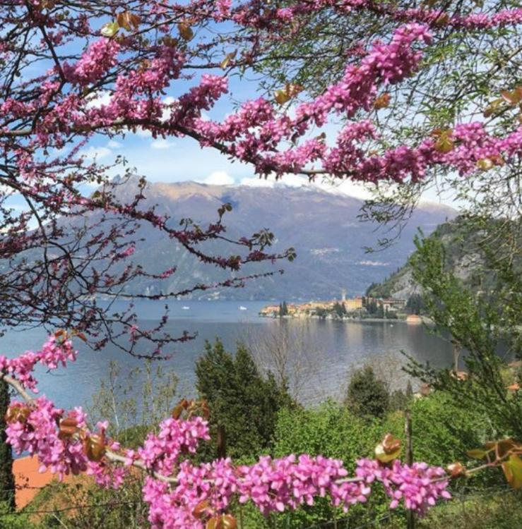 La Punta Di 바레나 외부 사진